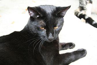 Marvin (15240456)