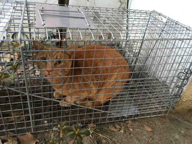 MARVIN (A633370)