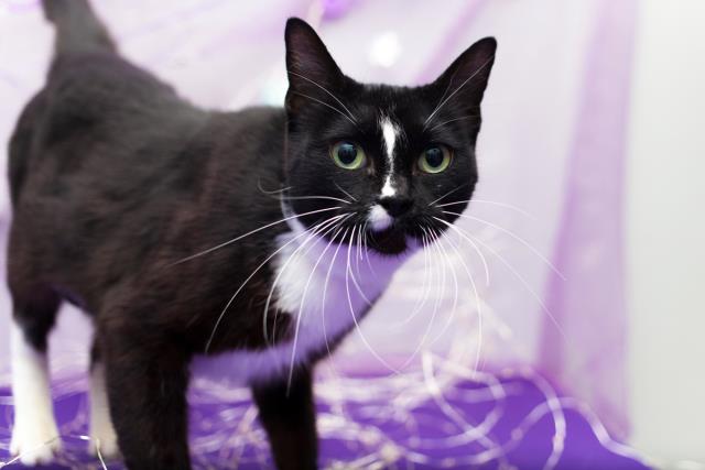 MARY (A1528608)