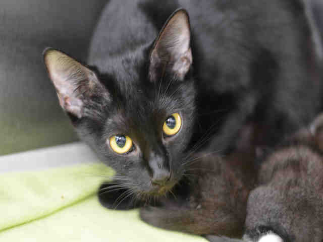 MARY (A1927080)