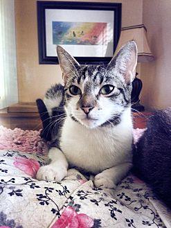 MATILDA (12261450)
