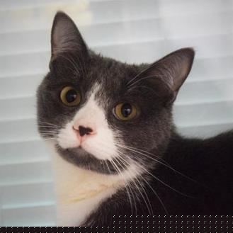 Maury (20156874)