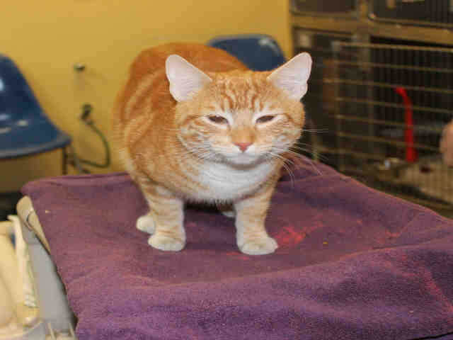 MAURY (A074095)
