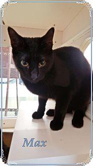 Max (17671701)