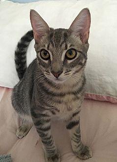 Max (19614112)