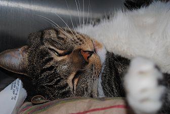 Max (20110670)