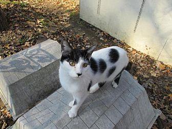 Max (20131765)