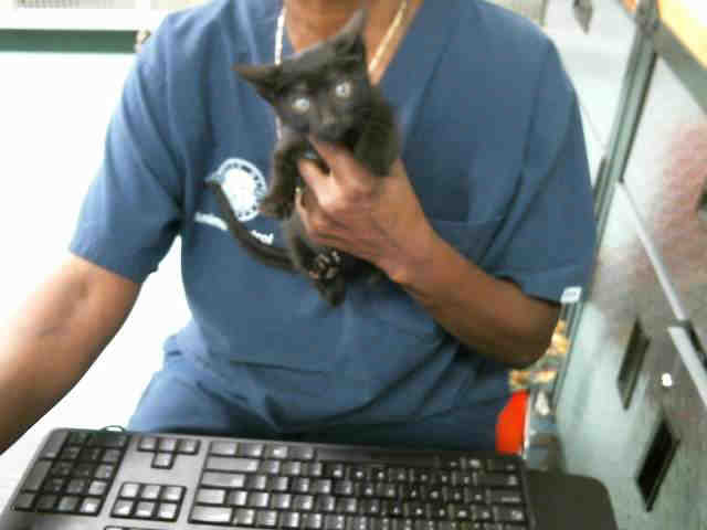 MAX (A130833)
