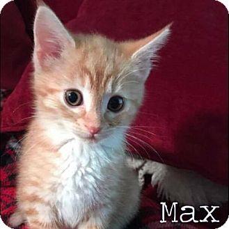 Max- Current (18282794)