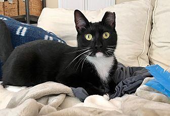 Maxie (20054445)