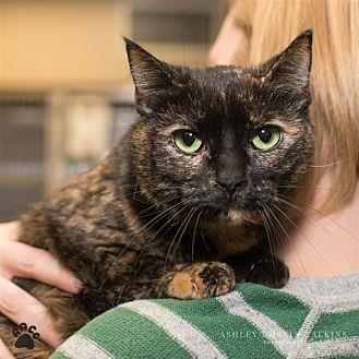 Maybelle (20399811)
