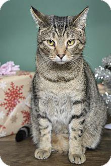 Meeko (12413910)