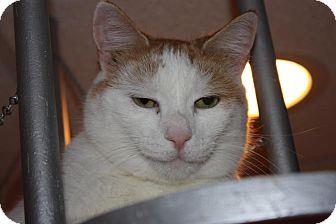 Melvin (LE) (3521344)