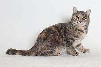 Merri (20212625)