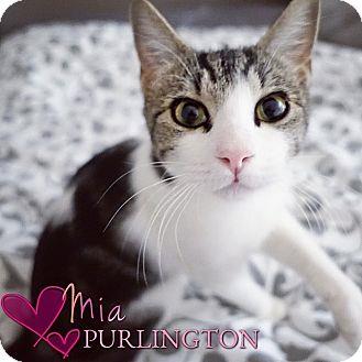 Mia Purlingt (18221406)