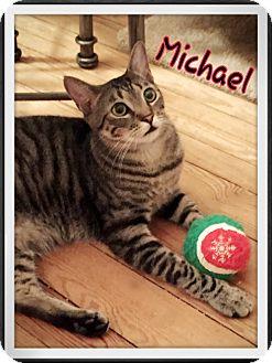 Michael (16481171)