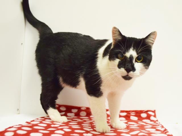 *MICHAEL (A717713)