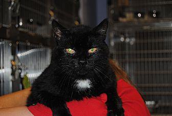 Midnight (19690365)