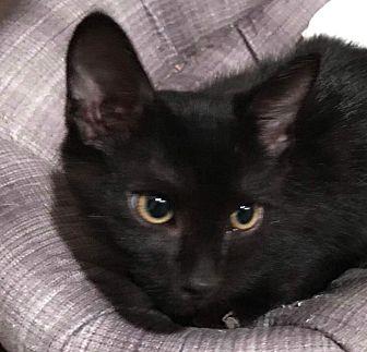 Midnight (20152447)
