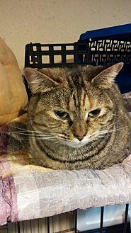 Millie (12857651)