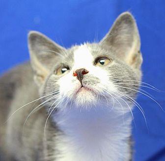 Millie (14140551)