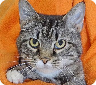 Millie (18206963)