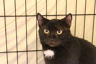 Millie (19512698)