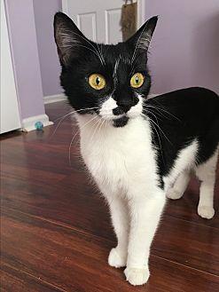 Millie (20127019)