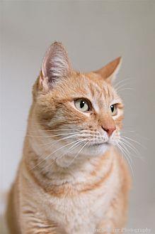 Millie (20417510)