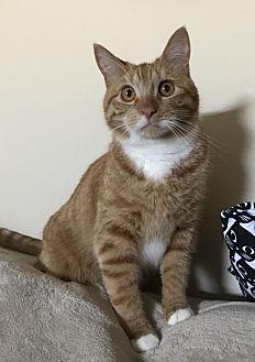 Milo (20476054)