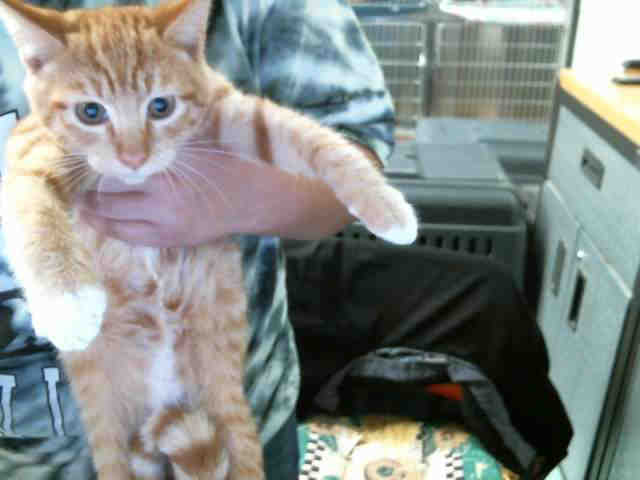 MILO (A132145)