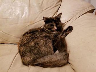 Mimi (20126959)