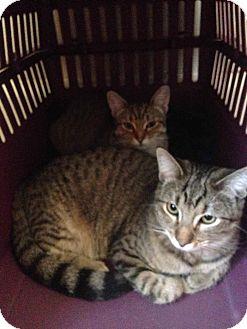 Mimi and Bab (16986457)