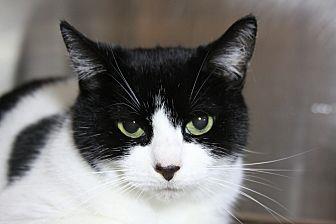 Minky (19921274)