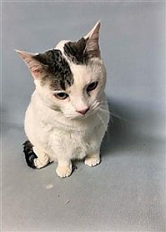 Minnie (19964713)