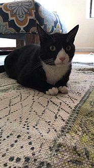 Minnow the M (19808392)