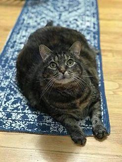 Mischa (fron (19085317)