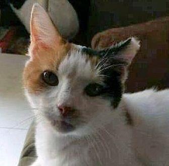 Miss Molly M (19268514)
