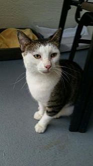 Missie (20110056)