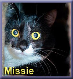 Missie (form (17389265)