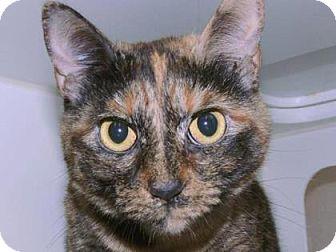 Missy (13159416)
