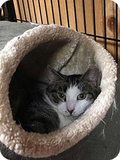 Missy-Barn C (17678553)