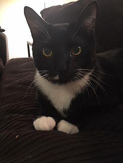 Mister (20261651)