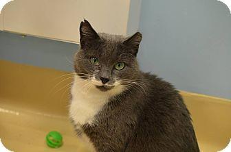 Mittens (14664729)
