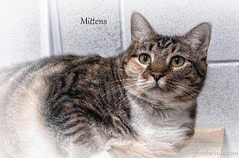 Mittens (19978560)