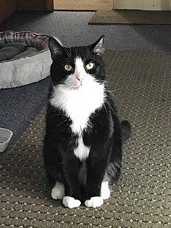 Mittens (20190223)