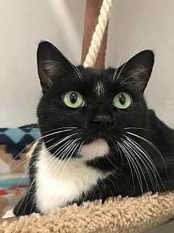 Mittens (20286717)