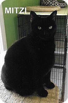 Mitzi (18235637)