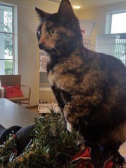 Mitzi (18646855)