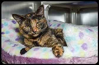 Mitzi (20115318)